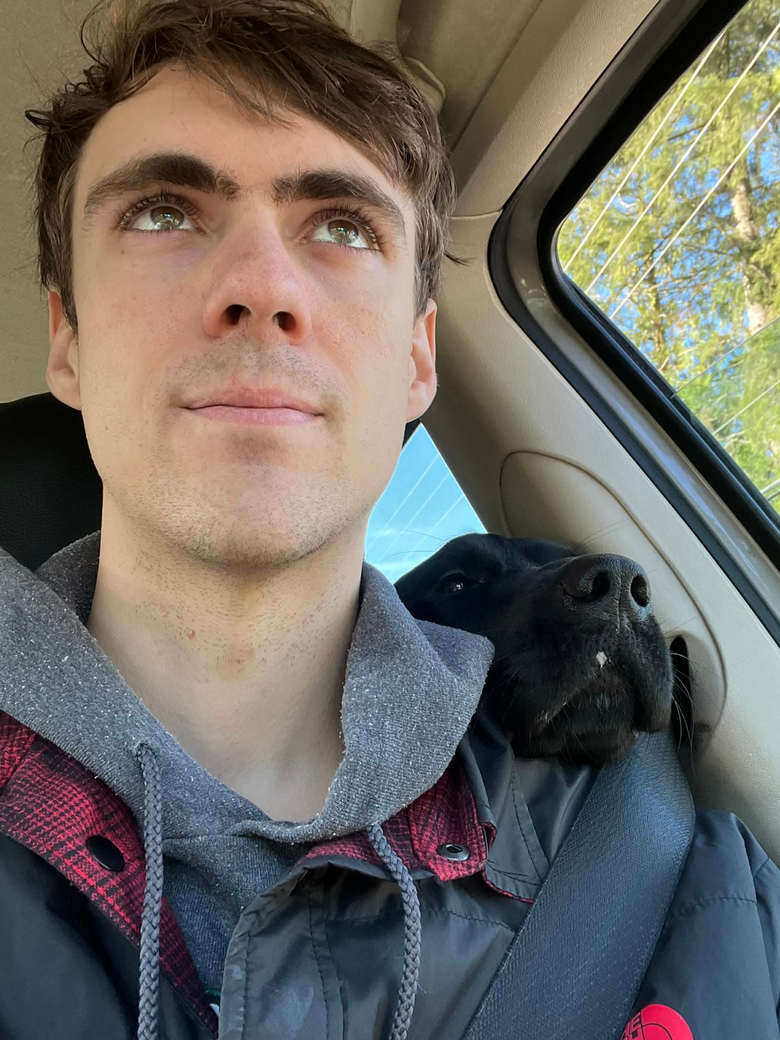 Dog enjoying the trail