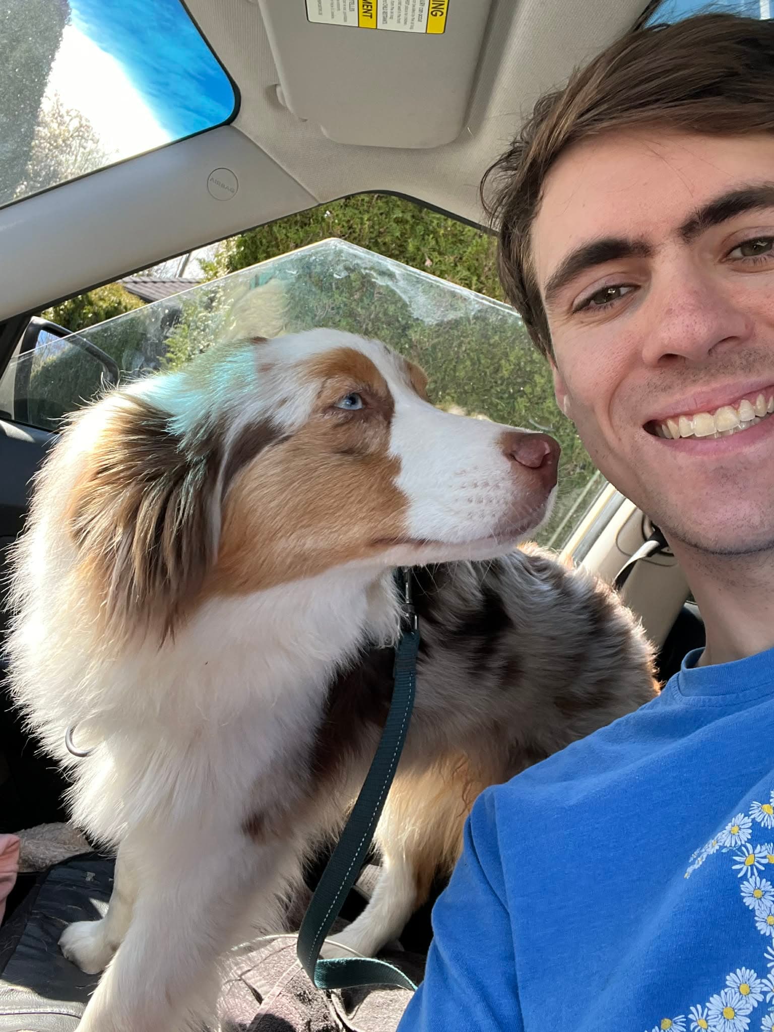 Playful pup outdoors