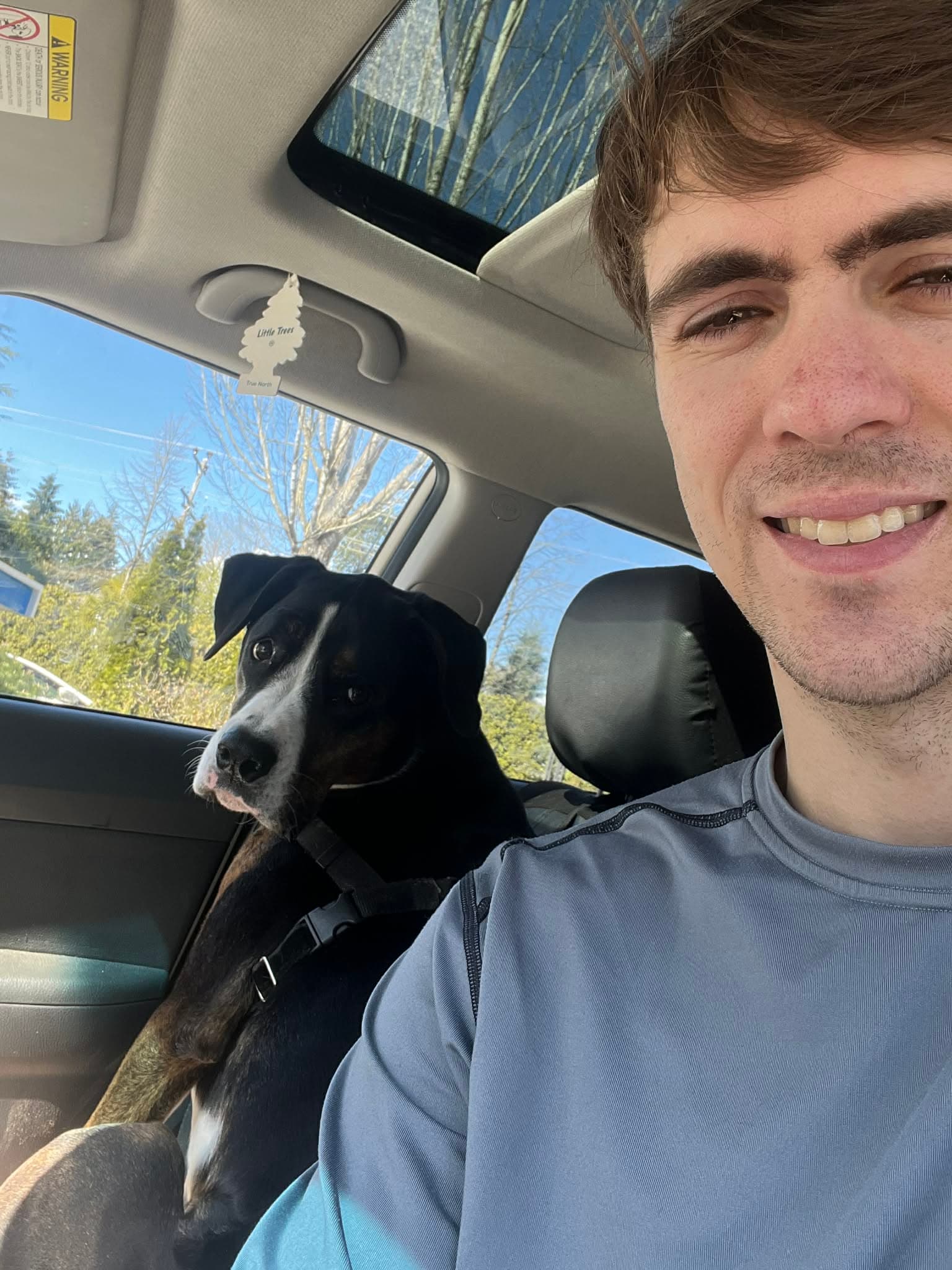 Furry friend exploring